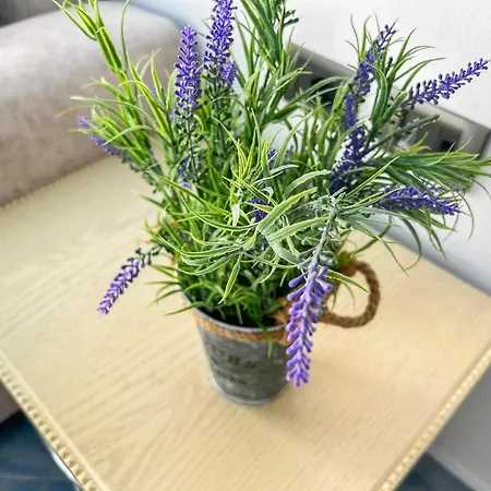Blue Horizon 505 아파트